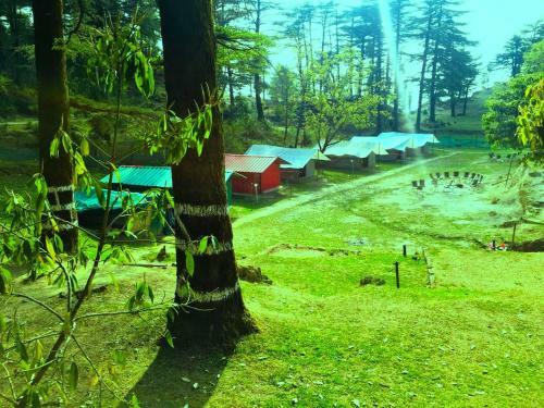 Northern Adventures & Camps