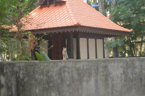 Hotel Kaveri Tourist Home