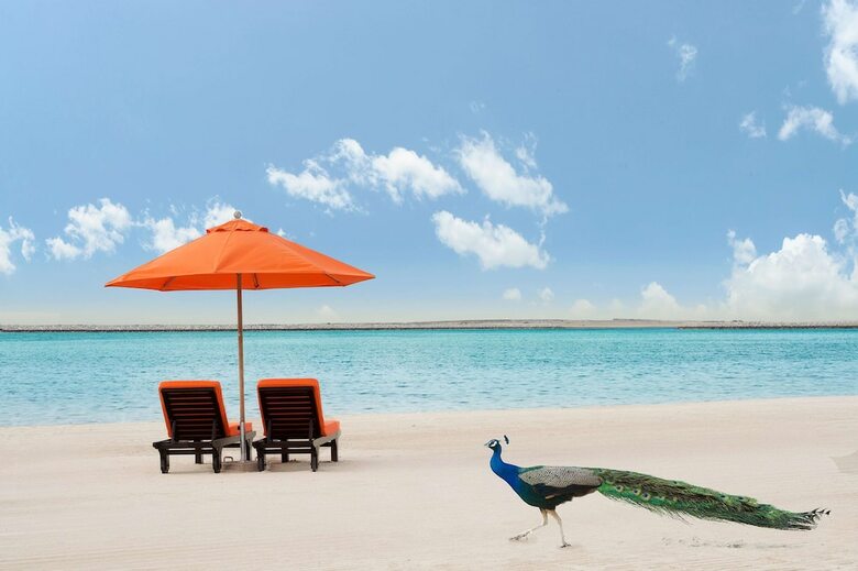 Hotel Jebel Ali Palm Tree Court And Spa
