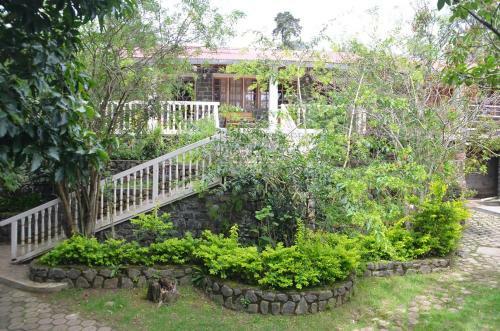 Hotel Lilly's Valley Resort