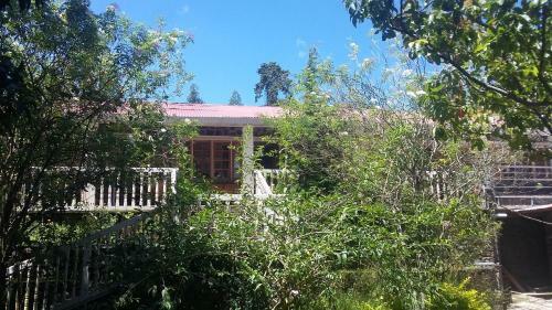 Hotel Lilly's Valley Resort