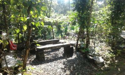 Sunleo Spice Villas & Homestay