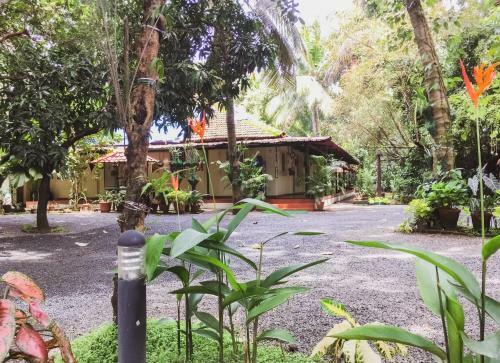 Bed & Breakfast Palm Grove Service Villa