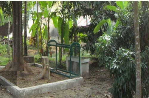 Bed & Breakfast Palm Grove Service Villa