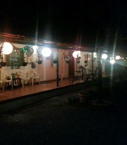 Bed & Breakfast Palm Grove Service Villa
