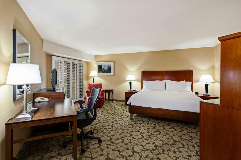 Hotel Hilton Garden Inn Six Flags