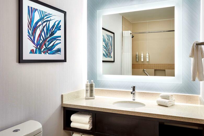 Hotel Hilton Garden Inn Six Flags