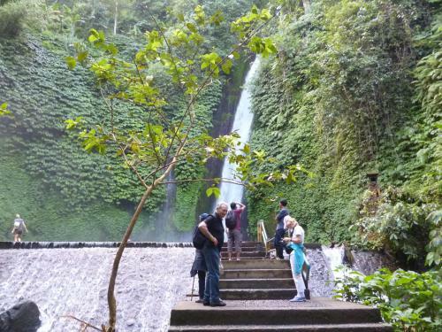 Gosela Homestay & Warung