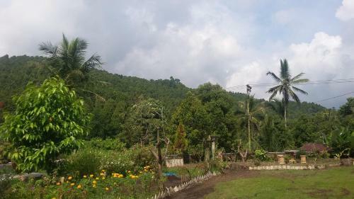 Gosela Homestay & Warung