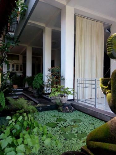 Hostal Agus Pension