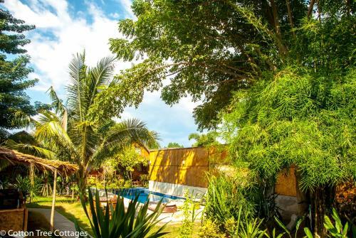 Hostal Cotton Tree Cottages