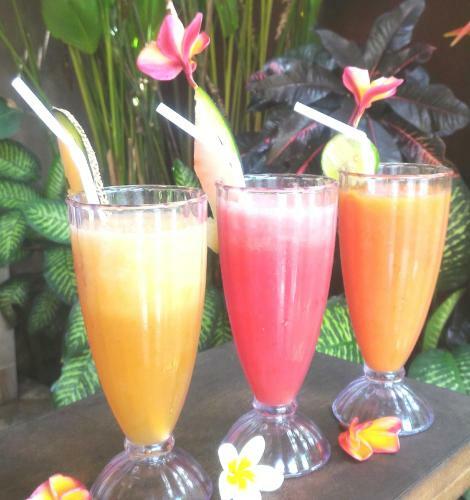Hotel Saka Village Resort Ubud