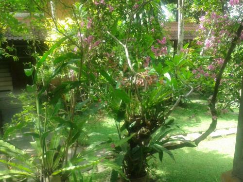 Indraprastha Ubud Home Stay