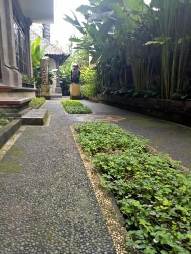 Hostal Umah Dajane Guest House