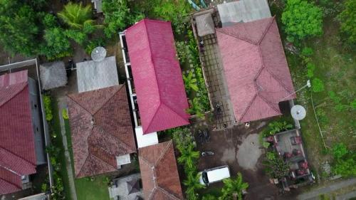 Made Taro - Menjangan Homestay