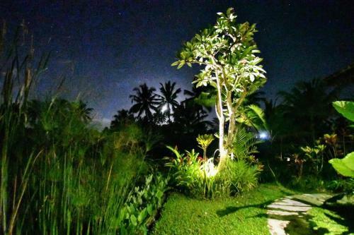 Villa Neyang