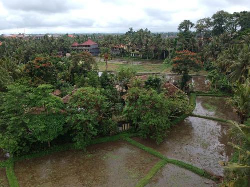 Hostal Byasa Ubud