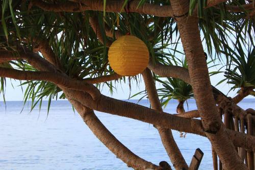 Hostal Bolata Beach House