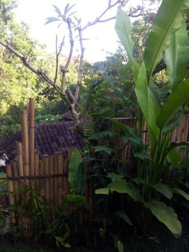 Hostal Sun House