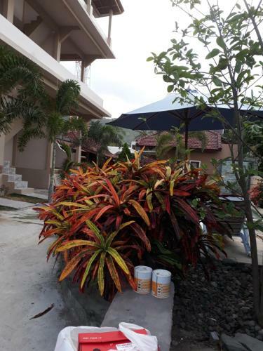 Kuta Bay Homestay