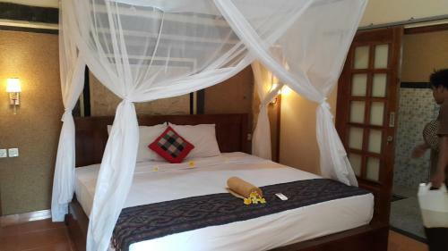 Bed & Breakfast D & D Dive Center Pemuteran