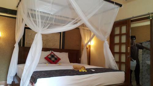 Bed & Breakfast D & D Dive Center Pemuteran