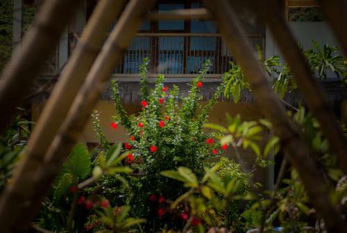 Hotel Owa Lodge