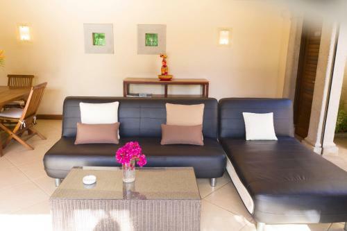 Villa Oasis 8