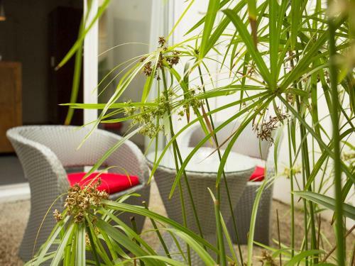 Hostal Esprit Libre