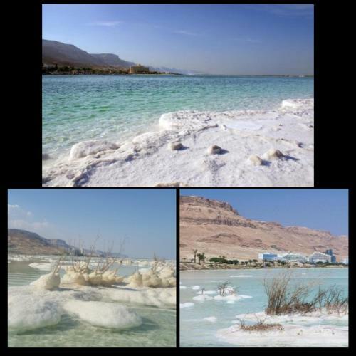 Lodge Nadia Hosting Dead Sea