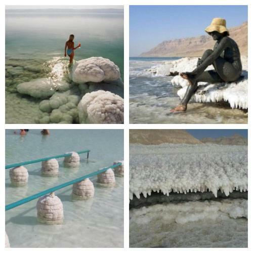 Lodge Nadia Hosting Dead Sea