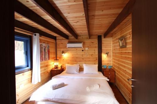Dead Sea Tamar's Cabin
