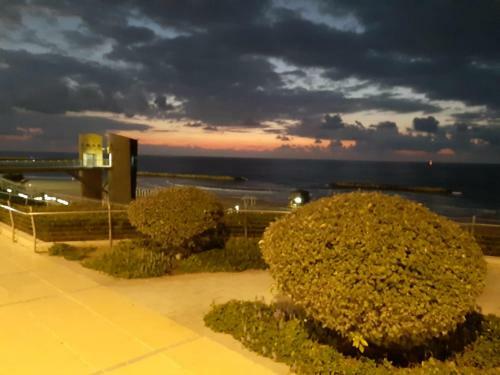 The Home Apartments Tel Aviv