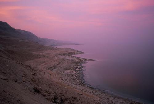 Lodge Belfer's Dead Sea Cabins