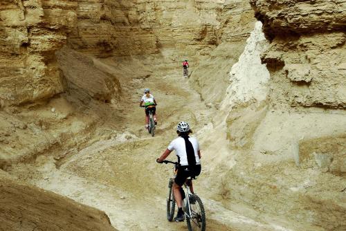 Lodge Belfer's Dead Sea Cabins