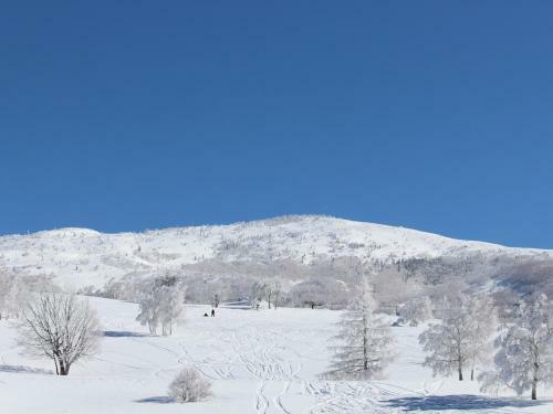 Posada Pension Tirol