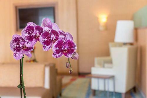 Best Western Plus Gateway Hotel Santa Monica
