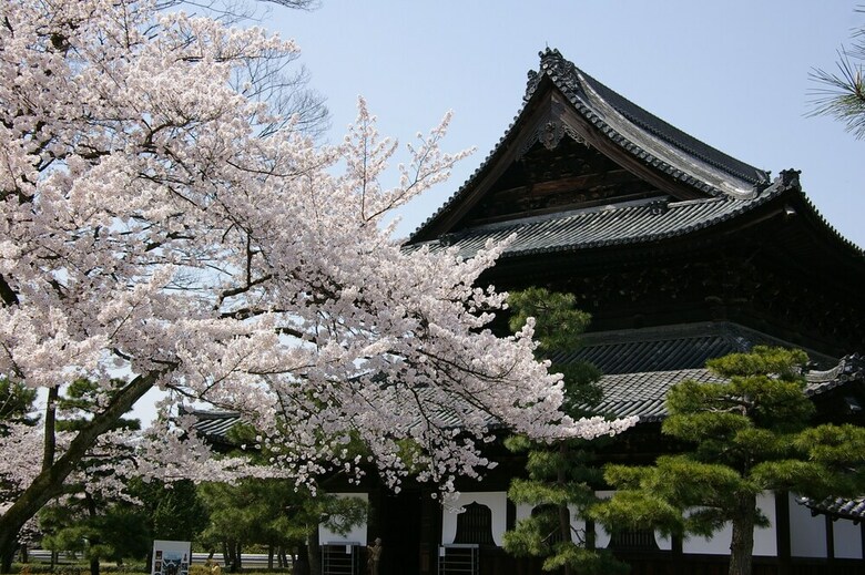 Kyoto Nene House