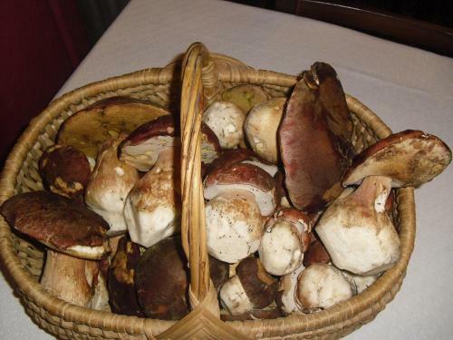 Hotel Hostal Vall D'�neu