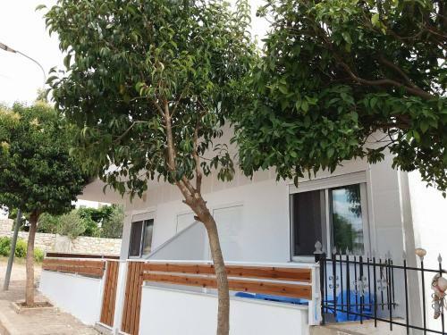 Apartment Bushi Ksamil