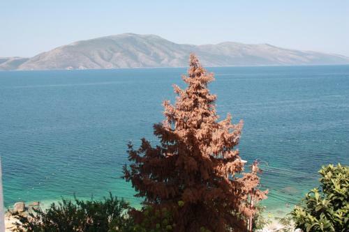 Envi Hotel