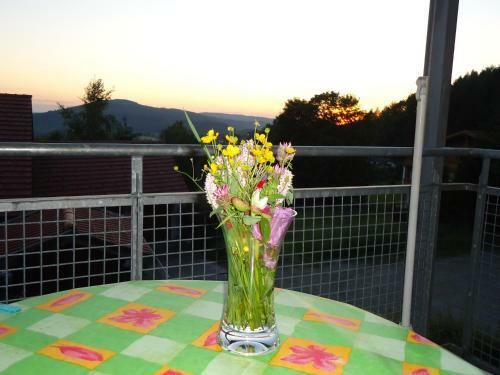 Apartamento Ferienwohnung Bodenmais