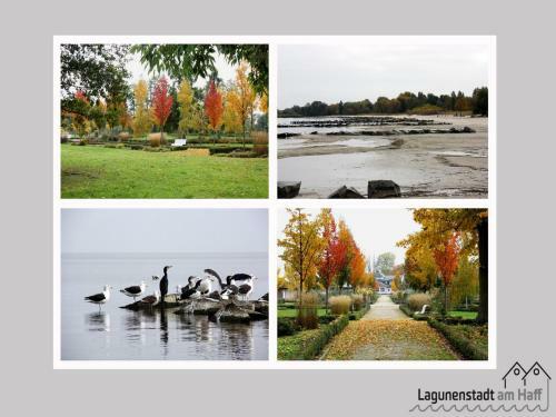 Apartamento Lagunenstadt Am Haff