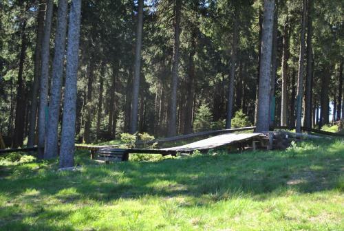 Apartamento Harz-zauber