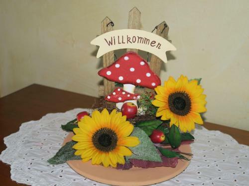 Ferienhaus-sonne-harz-sterne