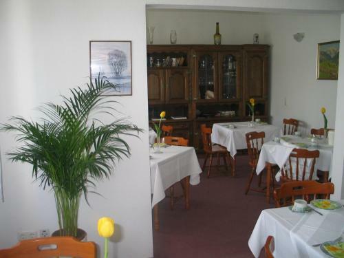 Hostal Adler Hotel Dresden