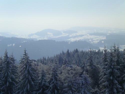 Hotel Das Allg�u