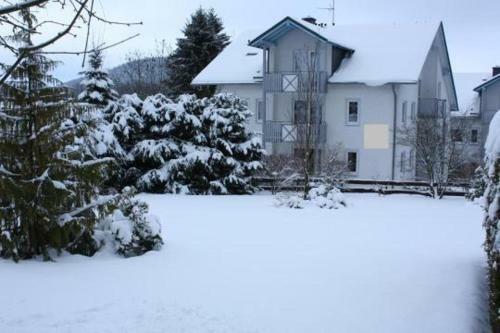 Apartamento Ferienwohnung Parkblick