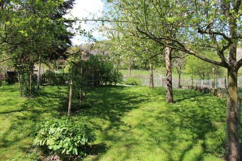 Apartamento Ferienwohnung Burgsicht
