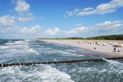 Doppelhaush�lfte Wustrow